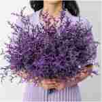 Preserved Natural Limonium Bouquet, 25+ Stems Real Fresh Caspia Bellidifolium, Sea Lavender, Baby Breath Flowers, for Wedding Birthday,Home Décor, Mother's Day,Valentine’s...