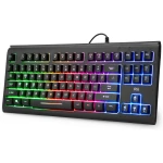 Rii Computer Keyboard, Wired USB Compact Keyboard with RGB Backlit,Silent Keystroke for Home Office,Working or Primer Gaming, Compatible with Laptop,PC,Windows,Mac