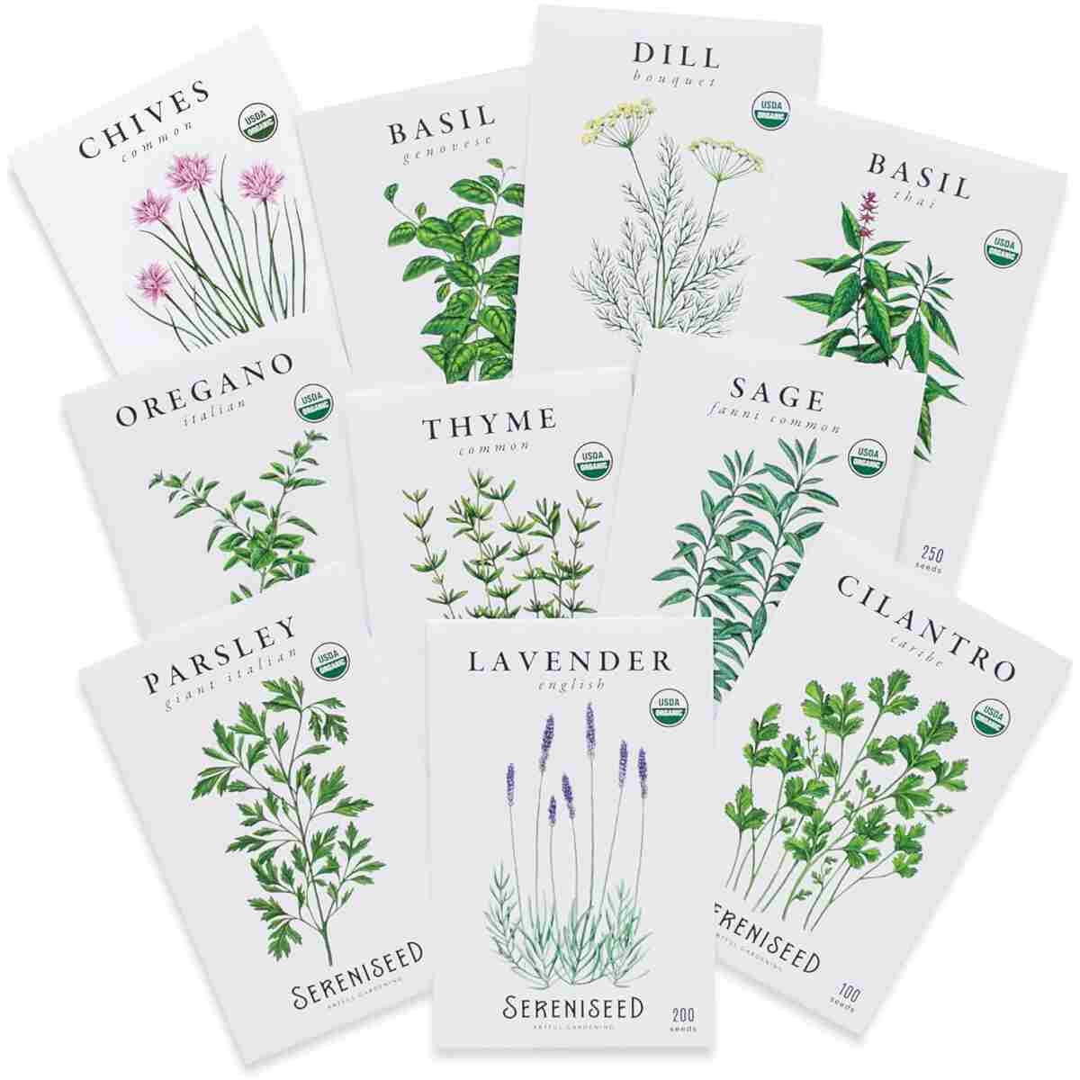 Sereniseed Certified Organic Herb Seeds (10-Pack) – Non GMO, Heirloom – Seed Starting Video - Basil, Cilantro, Oregano, Thyme, Parsley, Lavender, Chives, Sage, Dill Seeds for...