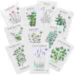 Sereniseed Certified Organic Herb Seeds (10-Pack) – Non GMO, Heirloom – Seed Starting Video - Basil, Cilantro, Oregano, Thyme, Parsley, Lavender, Chives, Sage, Dill Seeds for...