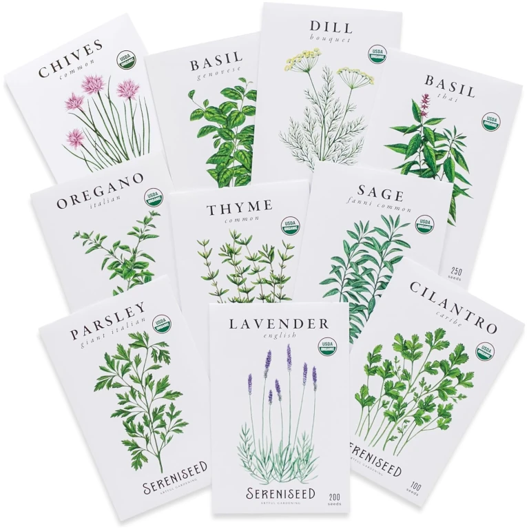 Sereniseed Certified Organic Herb Seeds (10-Pack) – Non GMO, Heirloom – Seed Starting Video - Basil, Cilantro, Oregano, Thyme, Parsley, Lavender, Chives, Sage, Dill Seeds for...
