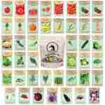 Set of 43 Assorted Vegetable & Herb Seed Packets - Over 10,000 Seeds! - Includes Mylar Storage Bag - Deluxe Garden Heirloom Seeds - 100% Non-GMO