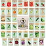 Set of 43 Assorted Vegetable & Herb Seed Packets - Over 10,000 Seeds! - Includes Mylar Storage Bag - Deluxe Garden Heirloom Seeds - 100% Non-GMO