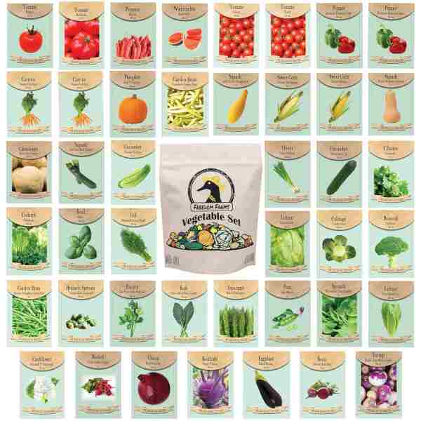 Set of 43 Assorted Vegetable & Herb Seed Packets - Over 10,000 Seeds! - Includes Mylar Storage Bag - Deluxe Garden Heirloom Seeds - 100% Non-GMO