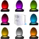 ToiLight The Original Toilet Bowl Night Light. Fun & Useful Bathroom Motion Sensor Tech Gadget. Funny Novelty Birthday Gift Idea. Stocking Stuffer for Him Her Guys Men Mom Brother