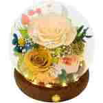 Valley of Rain & Forest Long-Lasting Real Flowers, Unique Floral Gift for You to Send Love for All Occasions, for Indoor Decoration (Champagne Rose, Yellow Rose, Yellow Austin...
