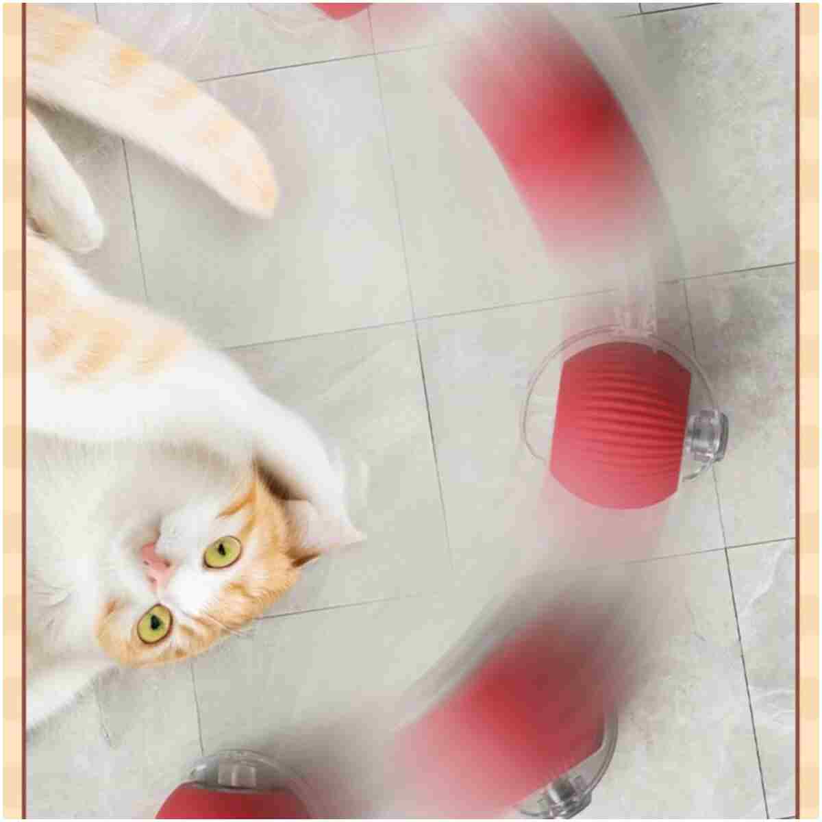 2 Pack Interactive Rolling Cat Ball, 360° Intelligent Automatic Rolling Pet Ball, Suitable for Large and Small Dogs and Cats (Red + Green)