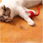 2 Pack Interactive Rolling Cat Ball, 360° Intelligent Automatic Rolling Pet Ball, Suitable for Large and Small Dogs and Cats (Red + Green)
