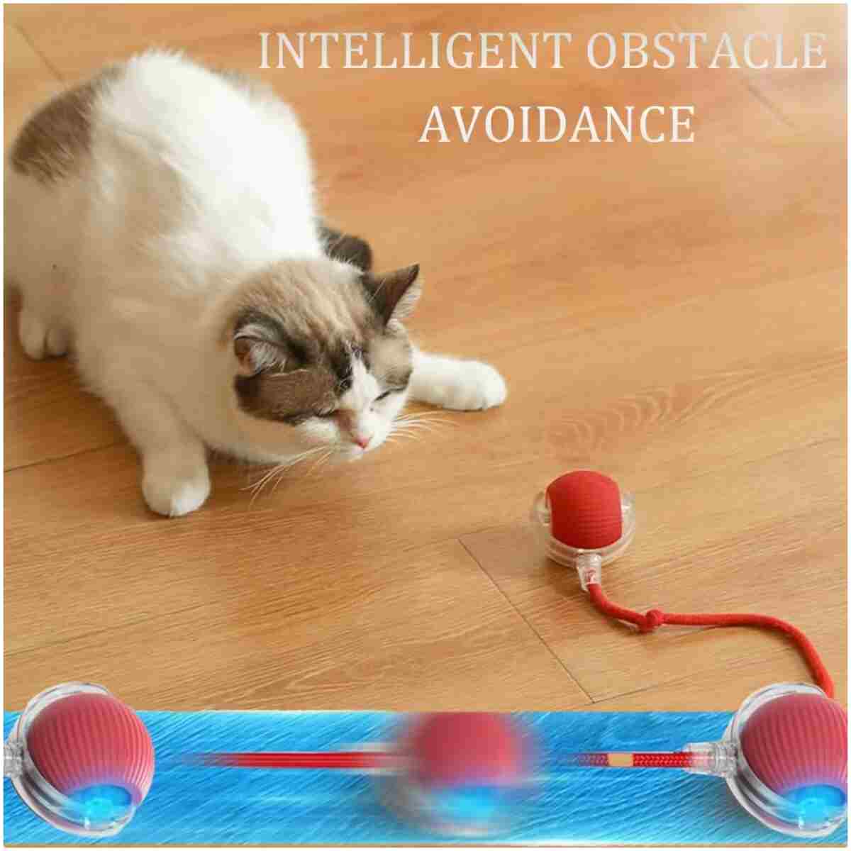 2025 Upgraded Interactive Cat Toys Balls，Interactive Rolling Cat Ball, Automatic Moving Cat/Dog Balls for Indoor Cats 360° Fast Rolling on Carpet, Motion Activate Cat/Dog Toys...