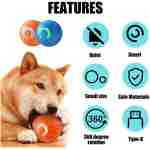 2PCS Shaky Ball Toy for Dogs, Vibrating Dog Ball, USB Rechargeable, Interactive, Automatic Moving, Bouncing, Perfect for Small, Medium, Large Dogs