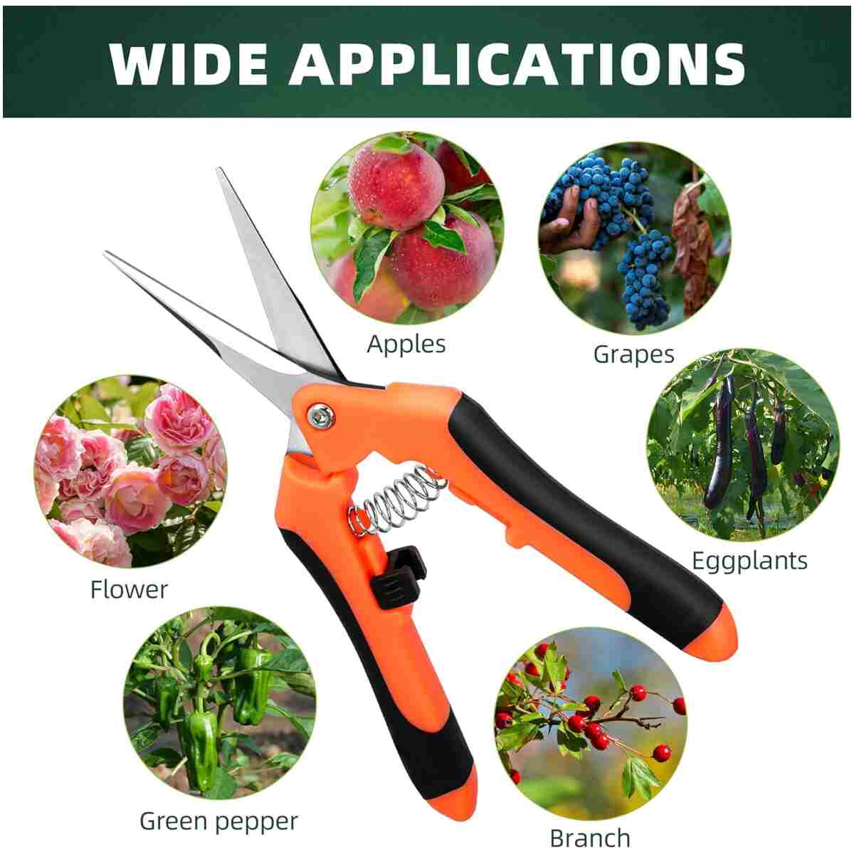 3-Pack Stainless Steel Pruning Shears, Pruning Snips and Clippers for Gardening