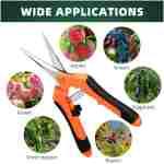 3-Pack Stainless Steel Pruning Shears, Pruning Snips and Clippers for Gardening