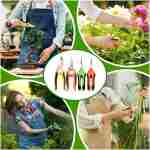 4 Pack Garden Pruning Shears, Stainless Steel Garden Shears, Gardening Shears, Garden Scissors, Garden Clippers, Pruning Snips, Pruning Shears for Gardening Tools (4PCS Yellow...
