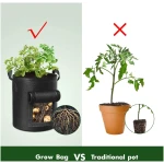 5-Pack 10 Gallon Potato Grow Bags, Garden Planting Bag with Reinforced Handle, Thickened Nonwoven Fabric Pots for Tomato, Vegetable and Fruits