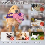 5 Pack Tough Dog Toys Stuffed Squeaky Dog Toys Assortment Plush Animal Dog Toy Value Bundle Puppy Pet Dog Toys for Small Medium Large Dogs