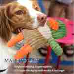 5 Pack Tough Dog Toys Stuffed Squeaky Dog Toys Assortment Plush Animal Dog Toy Value Bundle Puppy Pet Dog Toys for Small Medium Large Dogs