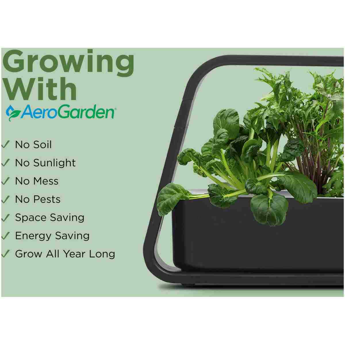 AeroGarden Sprout - Indoor Garden with LED Grow Light, Black
