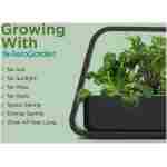 AeroGarden Sprout - Indoor Garden with LED Grow Light, Black