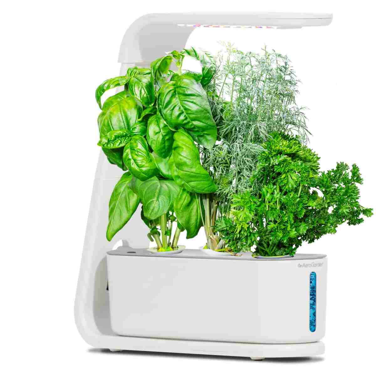 AeroGarden Sprout - Indoor Garden with LED Grow Light, Black