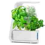 AeroGarden Sprout - Indoor Garden with LED Grow Light, Black
