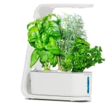 AeroGarden Sprout - Indoor Garden with LED Grow Light, Black