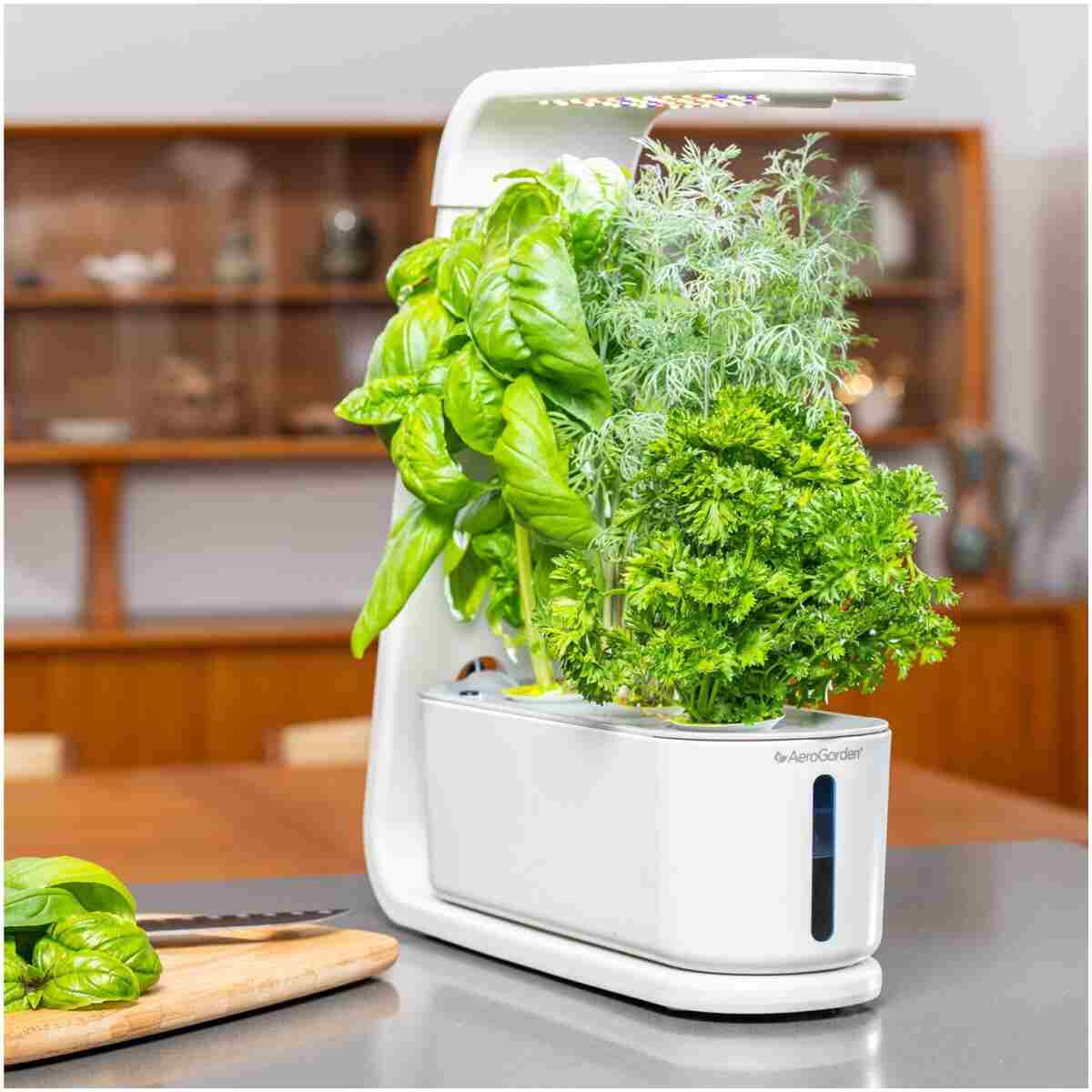 AeroGarden Sprout - Indoor Garden with LED Grow Light, Black