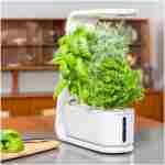 AeroGarden Sprout - Indoor Garden with LED Grow Light, Black