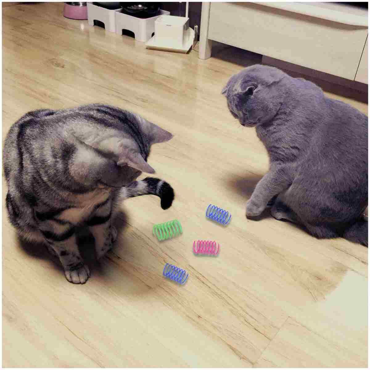 Andiker Cat Spiral Spring, 12 Pc Cat Creative Toy to Kill Time and Keep Fit Interactive Cat Toy Sturdy Heavy Plastic Spring Colorful Springs Cat Toy for Swatting, Biting,...
