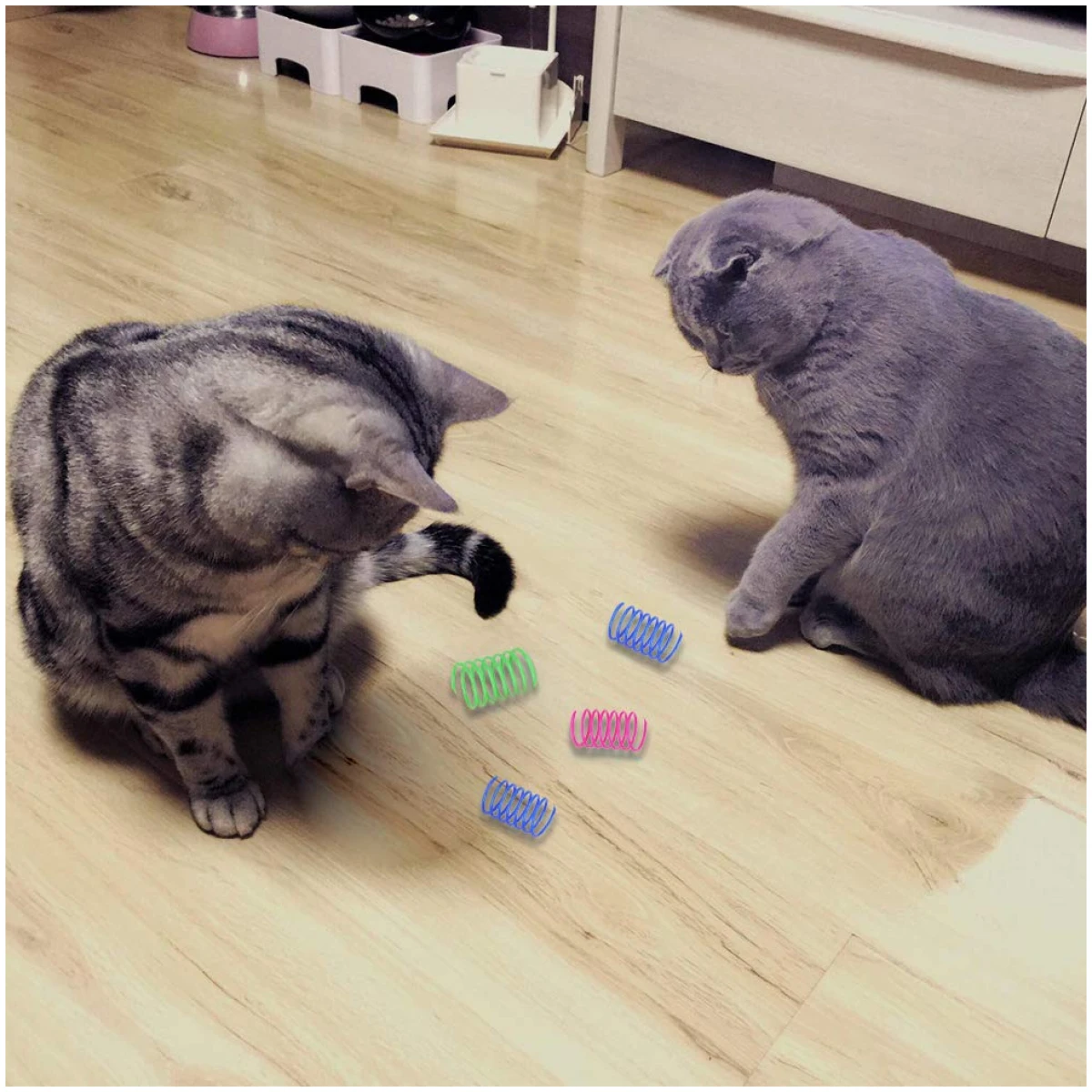 Andiker Cat Spiral Spring, 12 Pc Cat Creative Toy to Kill Time and Keep Fit Interactive Cat Toy Sturdy Heavy Plastic Spring Colorful Springs Cat Toy for Swatting, Biting,...