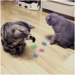 Andiker Cat Spiral Spring, 12 Pc Cat Creative Toy to Kill Time and Keep Fit Interactive Cat Toy Sturdy Heavy Plastic Spring Colorful Springs Cat Toy for Swatting, Biting,...