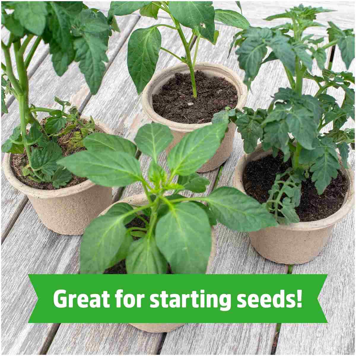 Back to the Roots Organic Coir, 51 Quart Expanding Soil, Great for Seeds and Potting