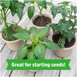 Back to the Roots Organic Coir, 51 Quart Expanding Soil, Great for Seeds and Potting