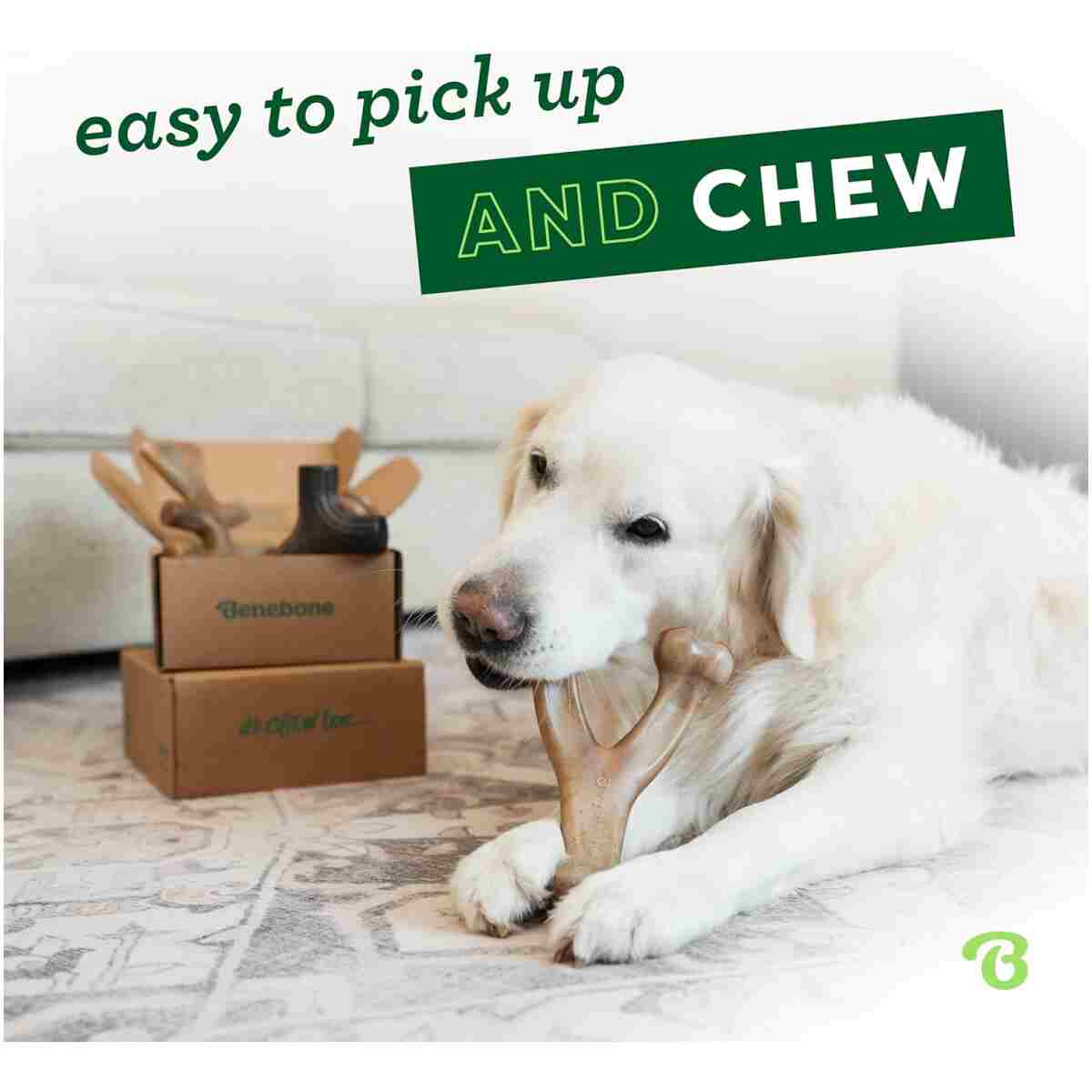 Benebone Medium 4-Pack Dog Chew Toys for Aggressive Chewers, Made in USA, 60lbs and Under