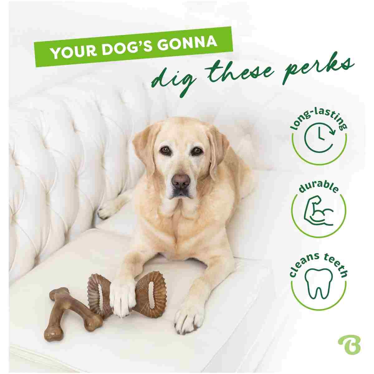 Benebone Medium 4-Pack Dog Chew Toys for Aggressive Chewers, Made in USA, 60lbs and Under