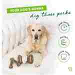 Benebone Medium 4-Pack Dog Chew Toys for Aggressive Chewers, Made in USA, 60lbs and Under