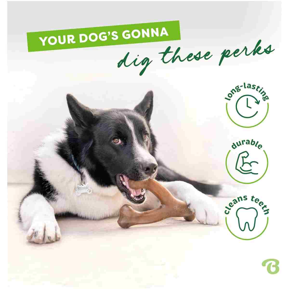 Benebone Wishbone Durable Dog Chew Toy for Aggressive Chewers, Real Bacon, Made in USA, Medium