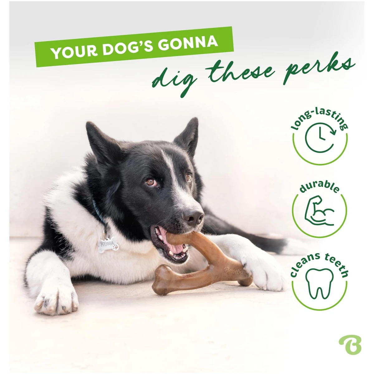 Benebone Wishbone Durable Dog Chew Toy for Aggressive Chewers, Real Bacon, Made in USA, Medium