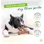 Benebone Wishbone Durable Dog Chew Toy for Aggressive Chewers, Real Bacon, Made in USA, Medium