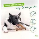 Benebone Wishbone Durable Dog Chew Toy for Aggressive Chewers, Real Bacon, Made in USA, Medium