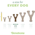 Benebone Wishbone Durable Dog Chew Toy for Aggressive Chewers, Real Bacon, Made in USA, Medium
