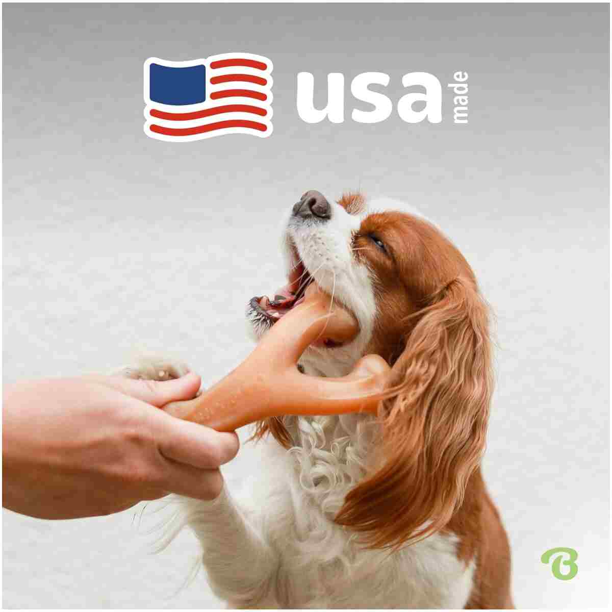 Benebone Wishbone Durable Dog Chew Toy for Aggressive Chewers, Real Bacon, Made in USA, Medium