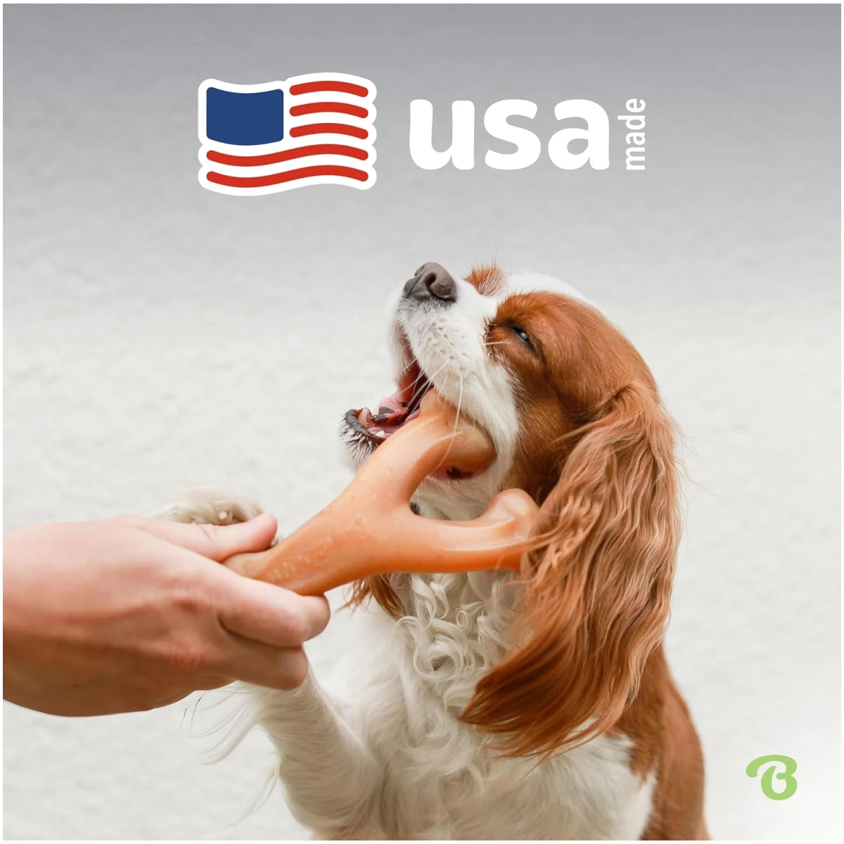 Benebone Wishbone Durable Dog Chew Toy for Aggressive Chewers, Real Bacon, Made in USA, Medium