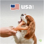 Benebone Wishbone Durable Dog Chew Toy for Aggressive Chewers, Real Bacon, Made in USA, Medium