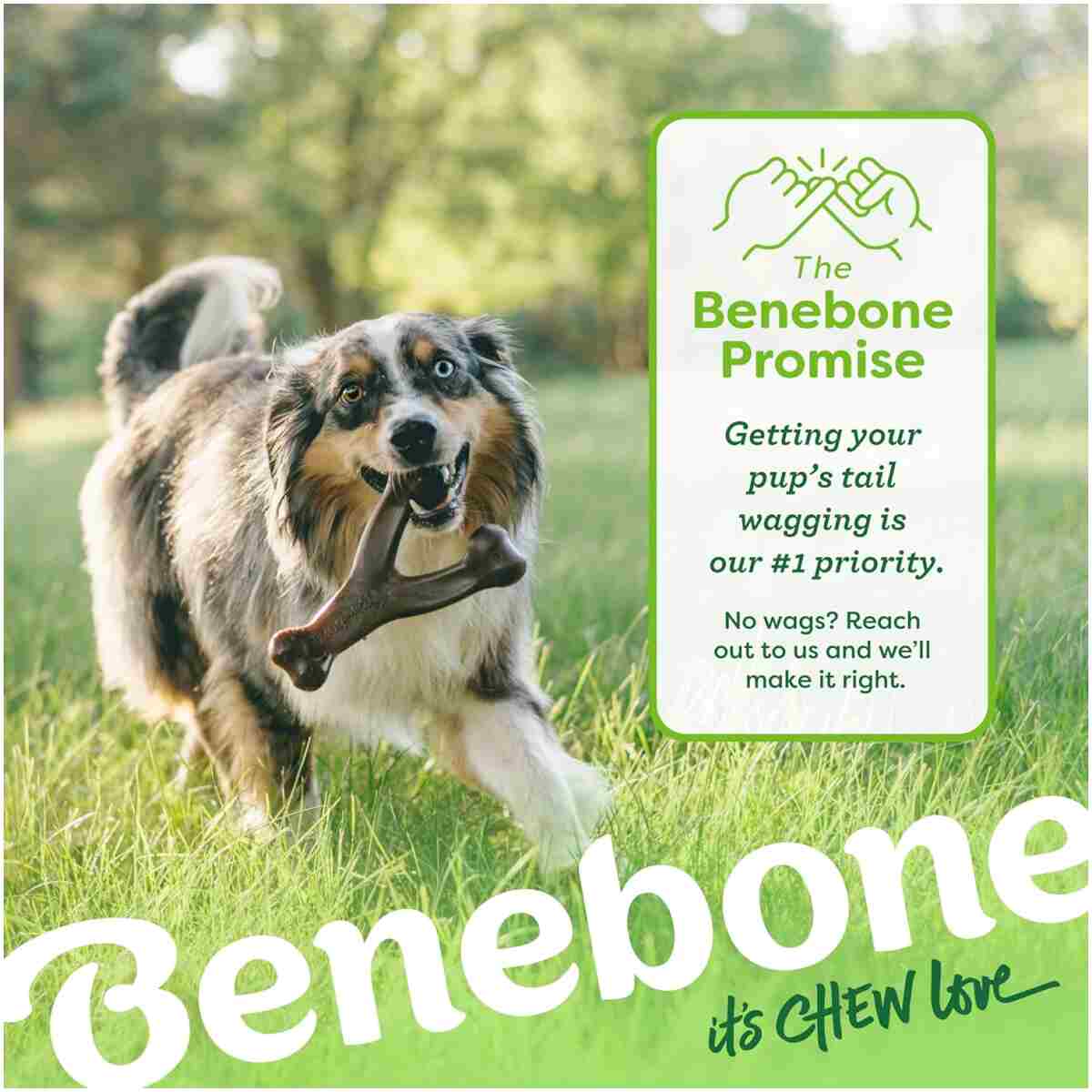 Benebone Wishbone Durable Dog Chew Toy for Aggressive Chewers, Real Bacon, Made in USA, Medium