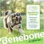 Benebone Wishbone Durable Dog Chew Toy for Aggressive Chewers, Real Bacon, Made in USA, Medium