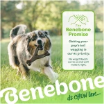 Benebone Wishbone Durable Dog Chew Toy for Aggressive Chewers, Real Bacon, Made in USA, Medium
