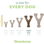 Benebone Wishbone Durable Dog Chew Toy for Aggressive Chewers, Real Bacon, Made in USA, Medium
