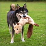 Best Pet Supplies 2-in-1 Stuffless Squeaky Dog Toys with Soft, Durable Fabric for Small, Medium, and Large Pets, No Stuffing for Indoor Play, Supports Active Biting and Play -...