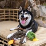 Best Pet Supplies 2-in-1 Stuffless Squeaky Dog Toys with Soft, Durable Fabric for Small, Medium, and Large Pets, No Stuffing for Indoor Play, Supports Active Biting and Play -...
