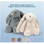 Best Pet Supplies Interactive Bunny Buddy Dog Toy with Crinkle and Squeaky Enrichment for Small and Medium Breed Puppies or Dogs, Cute and Plush - Bunny (Beige), Small